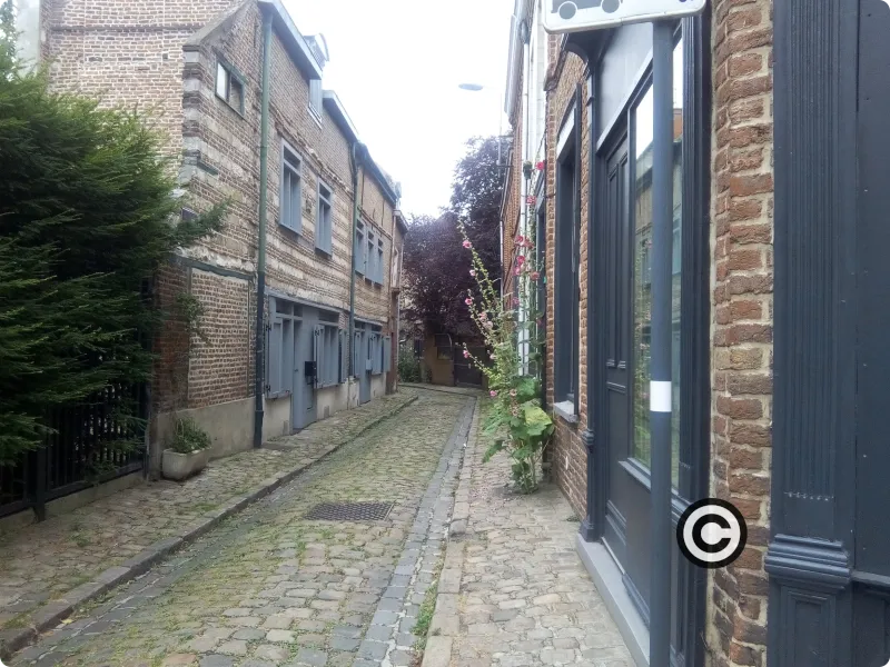 Rue Saint-François Vieux-Lille