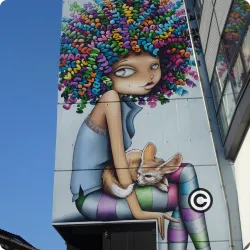 Graffiti Fille de Lille