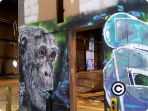 Graffiti Le singe