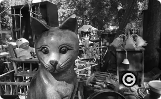 Chat de la Braderie
