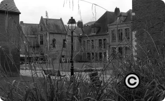 Ilôt Comtesse Lille